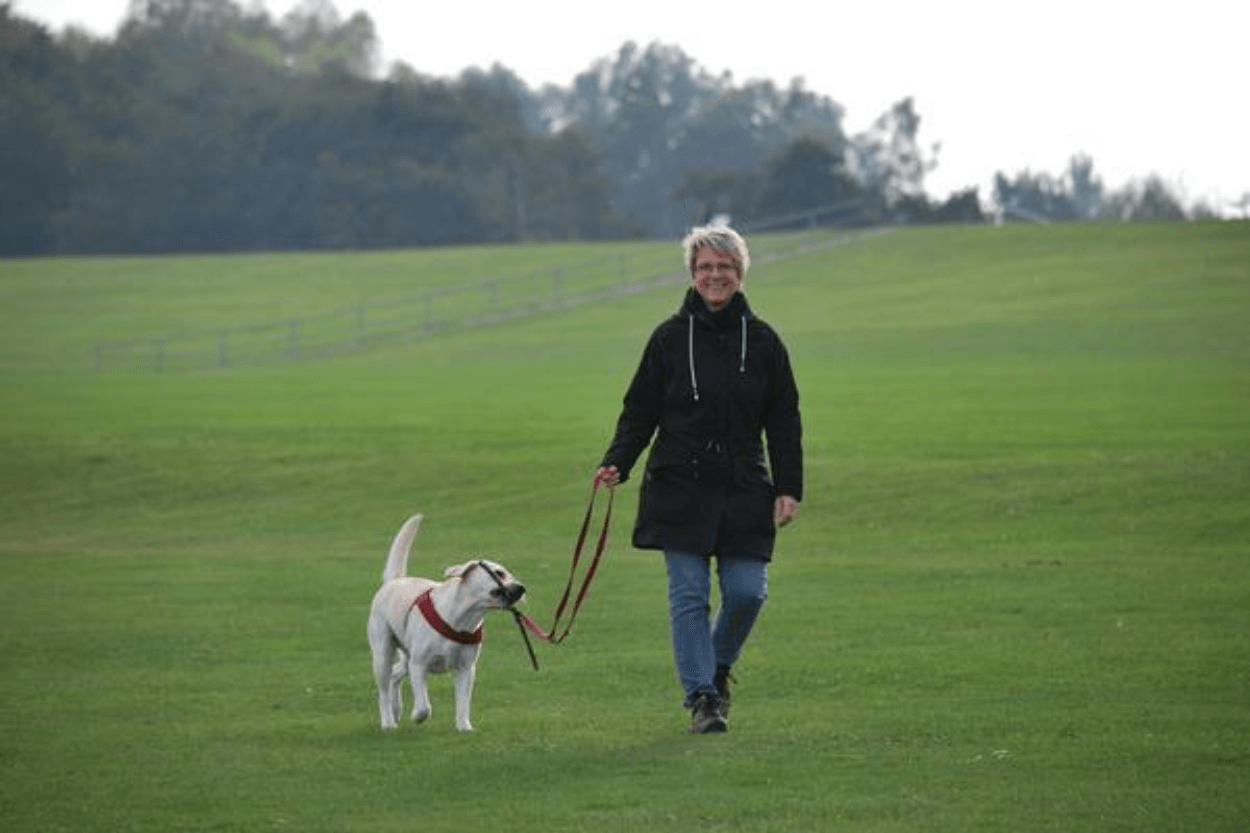 Canine Campus - BLOG IMAGE - Canine Campus Dog Daycare & Boarding