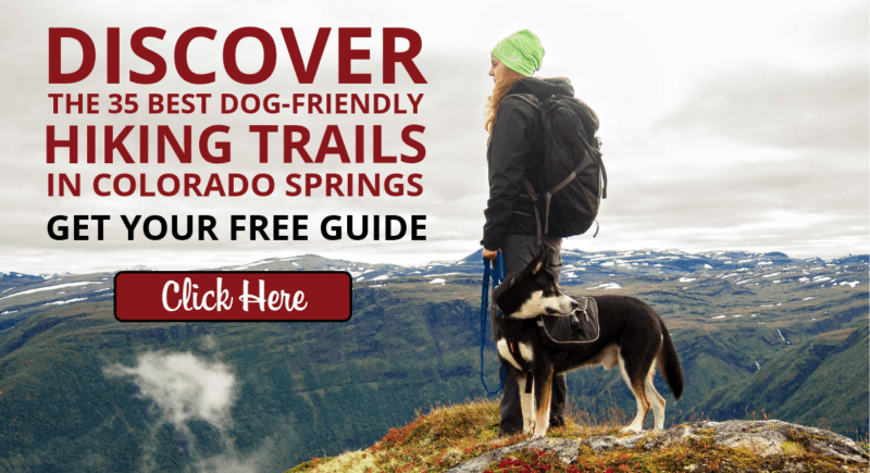 35-best-dog-friendly-hiking-trails-in-colorado-springs