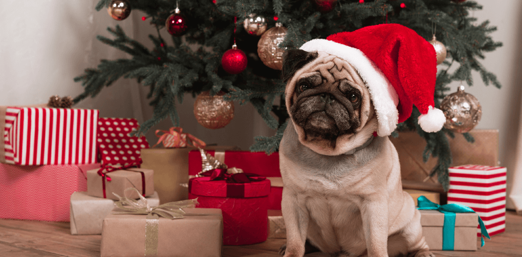 Pug hotsell christmas gifts