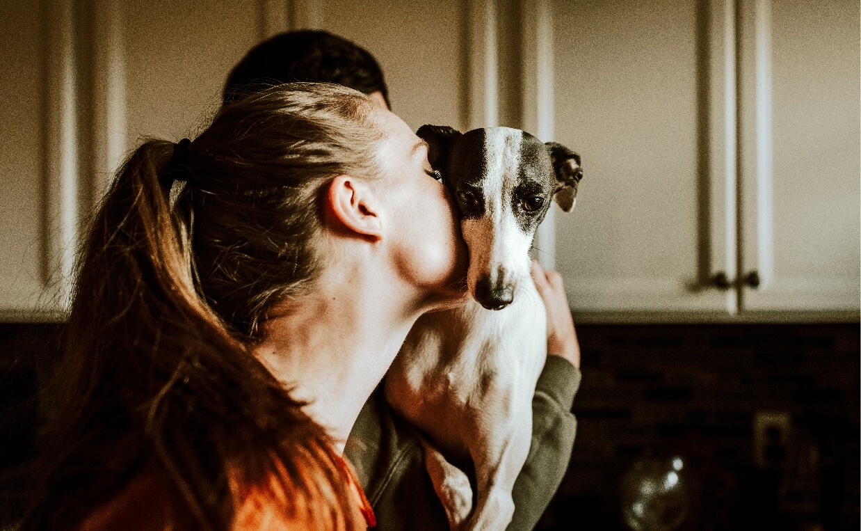 TELL LOVE whippet and woman