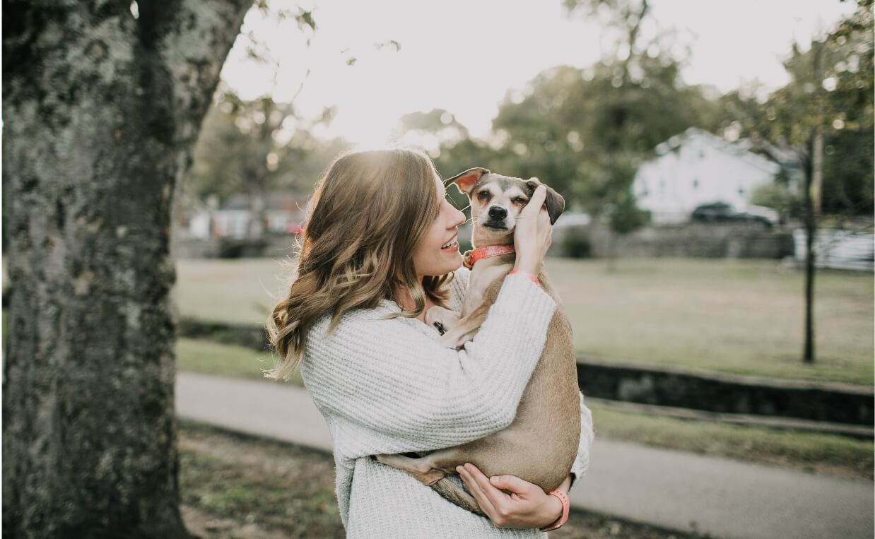 7 Ways to Tell Your Dog You Love Them