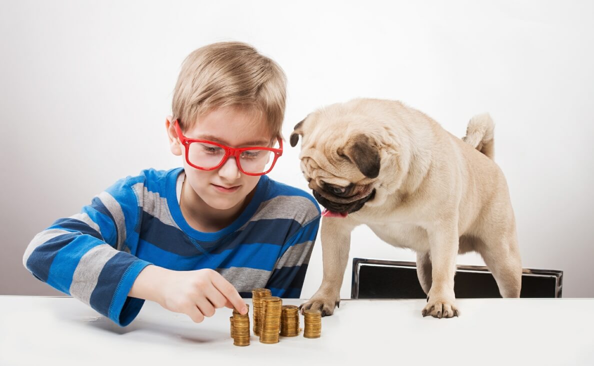 CAN DOGS COUNT - boy and french bulldog counting biscuits