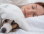 Should You Let Your Dog Sleep with You?