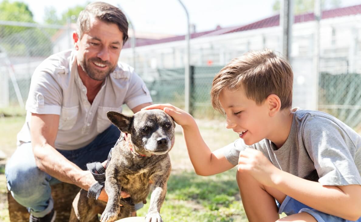 boy petting small dog held by man