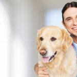 A Guide to Laser Therapy for Dogs