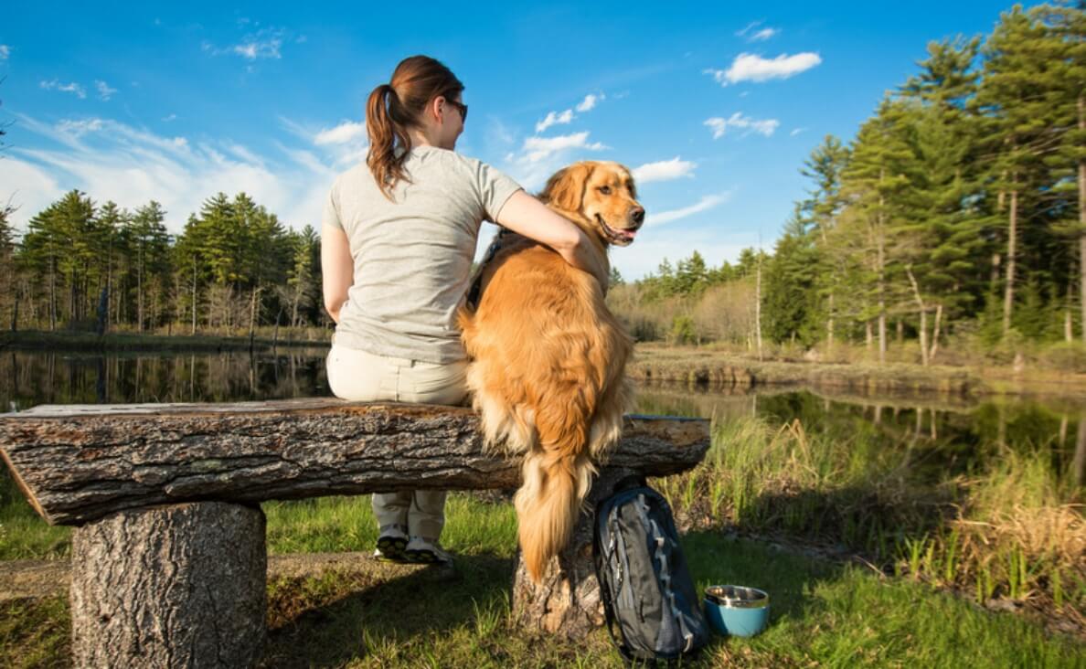 Golden retriever at pond with woman