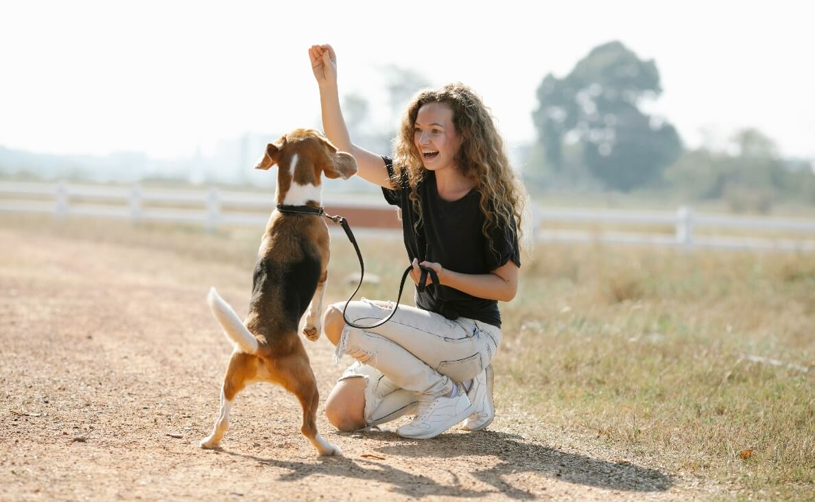 TEACH YOUR DOG TO LEAVE IT - beagle in training session with young woman