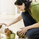 Seamless Tips for Switching Dog Food Without Tummy Issues