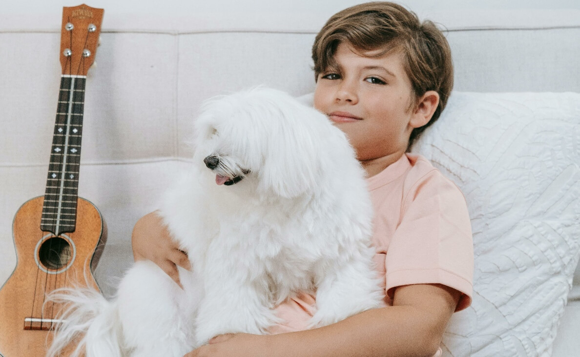 DO DOGS LIKE MUSIC - white poodle dog, boy and guitar