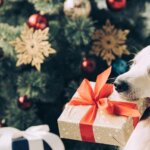 The Worst Holiday Gifts for Dogs and What to Give Instead