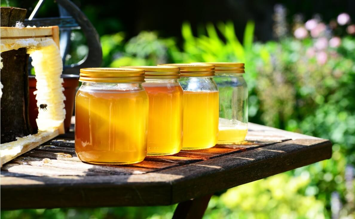 Can Dogs Eat Honey - jars of honey outside with honeycomb