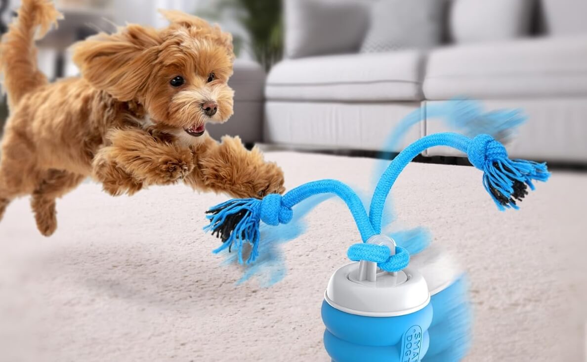  Interactive Dog Toy