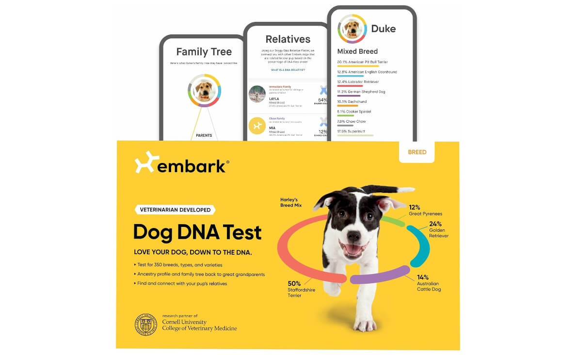 Dog DNA Test Kits