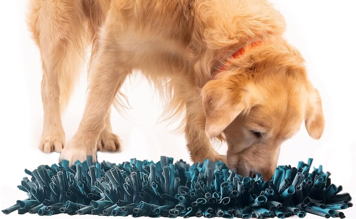 Best Slow Feeder Dog Bowls- Paw 5 Dog Snuffle Mat