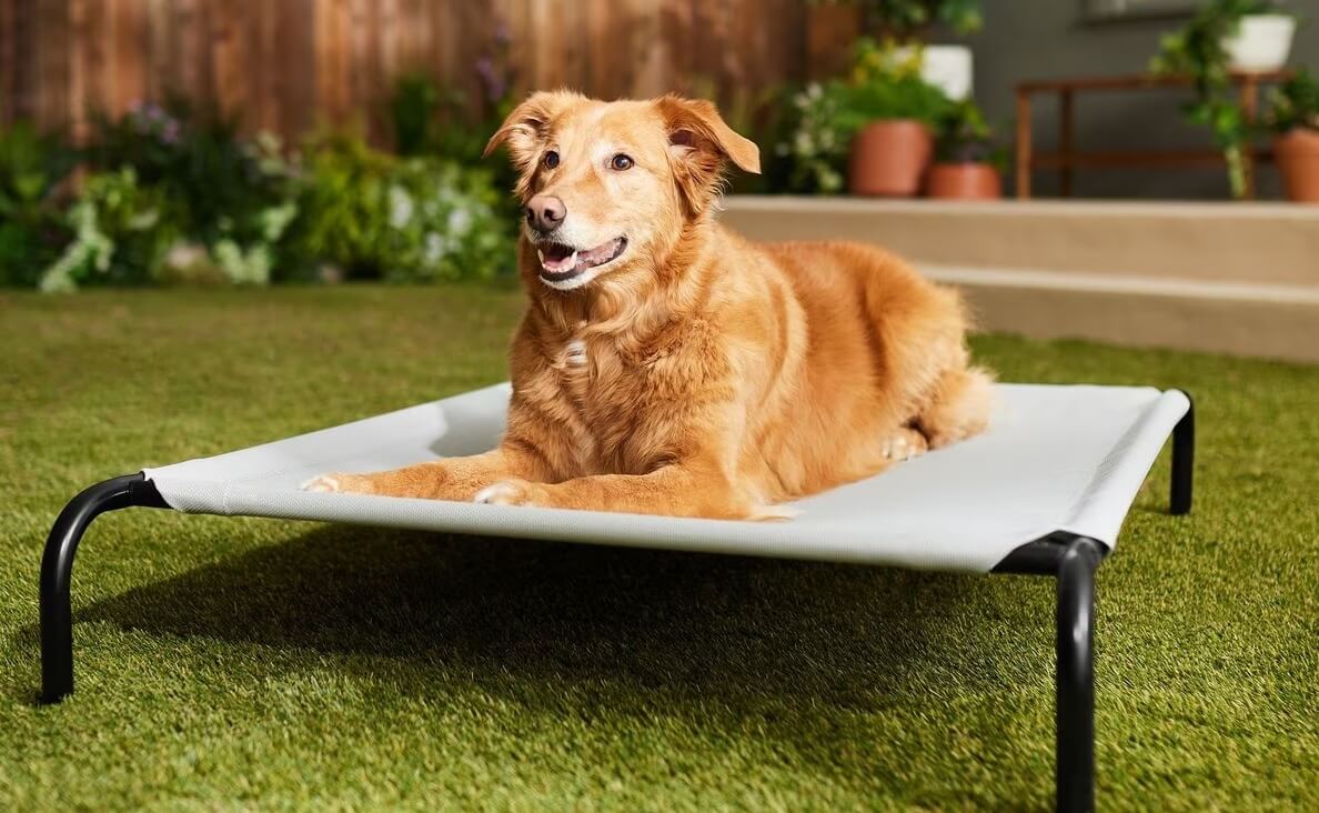 Frisco Steel-Framed Elevated Pet Bed 