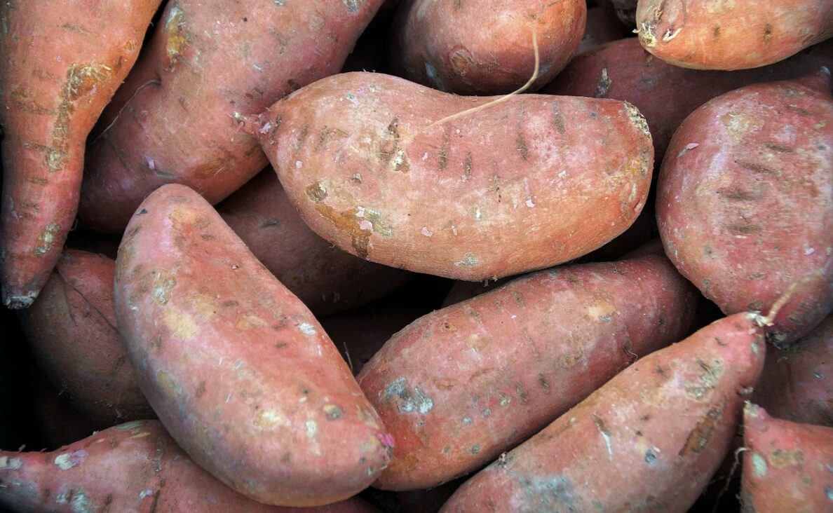 sweet potatoes